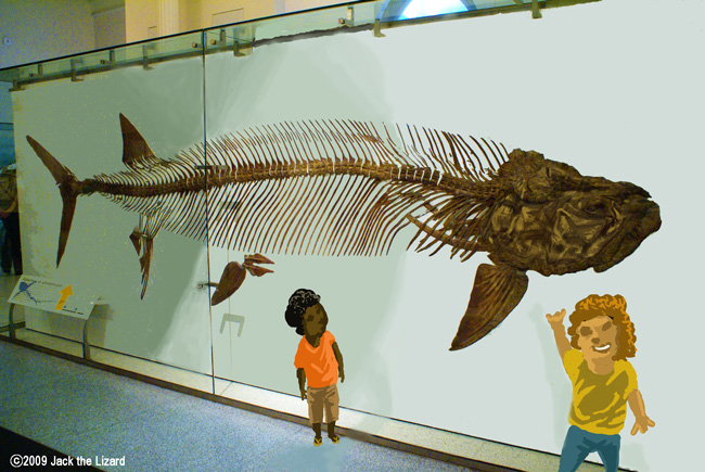 Xiphactinus, America Museum of Natural History