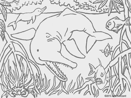 Coloring Pages of Amazon River Dolphin