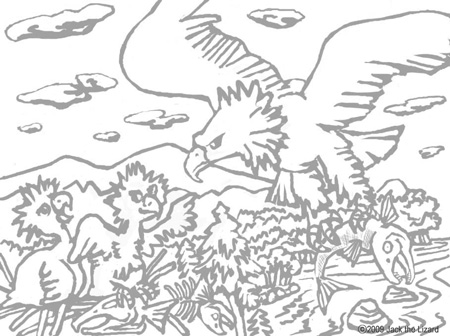 Coloring Pages of Bald Eagle