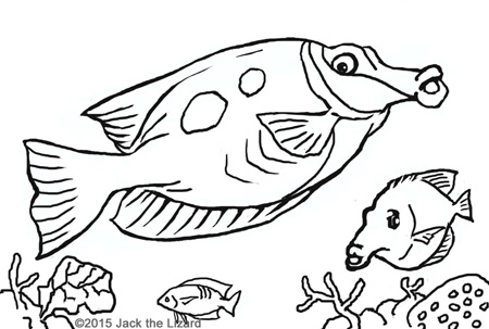 Coloring Pages of Blotched Foxface