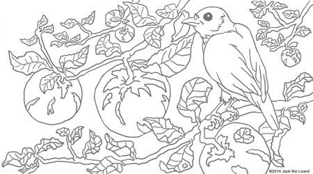 Coloring Pages of Blue Bird
