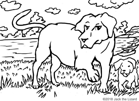Coloring Pages of Labrador Retrievers