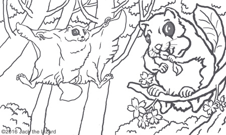 Coloring Pages of Flying Squirrel
