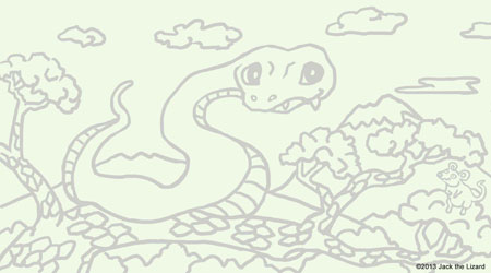 Coloring Snake
