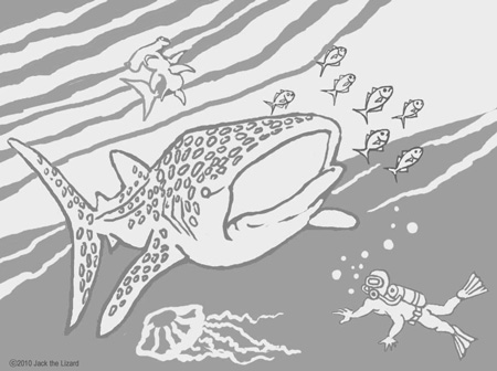 Coloring Pages of Whale Shark
