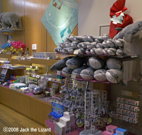 Museum Shop in Lake Biwa Museum