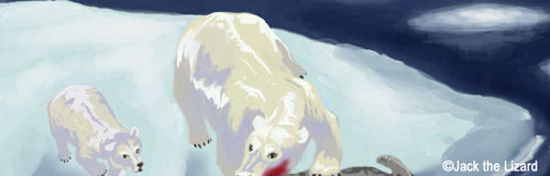 Polar Bear In Captivity