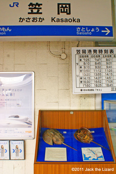 In JR Kasaoka Station