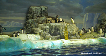 Penguin Pool, Port of Nagoya Public Aquarium