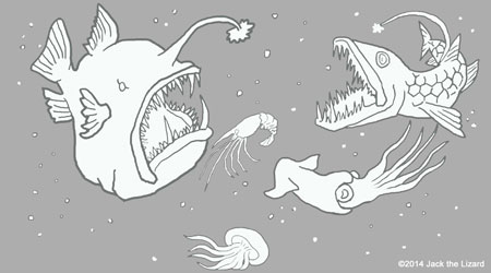 Coloring Pages of Angler Fish