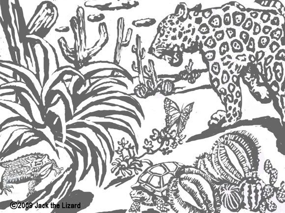 Coloring Pages of Jaguar, Tortous, Lizard