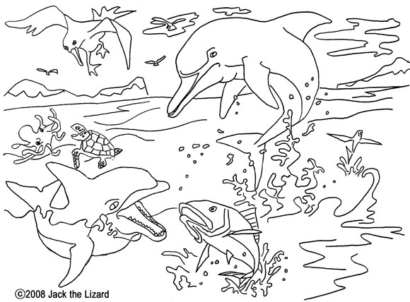 Colouring Page of Dolphin