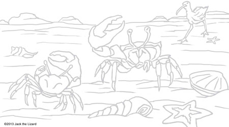 Coloring Pages of Fiddler Crab