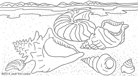 Coloring Pages of Soft Body make Hard Shell