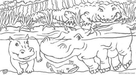 Coloring Pages of the Hippopotamus
