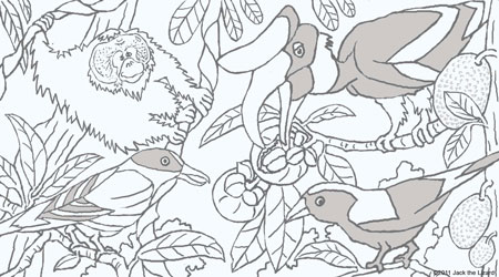Coloring Pages of Malaysian Birds