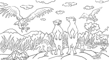 Coloring Pages of meerkat