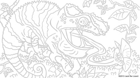 Coloring Pages of Panther Chameleon