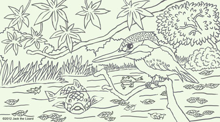 Coloring Pages of River Kingfisher