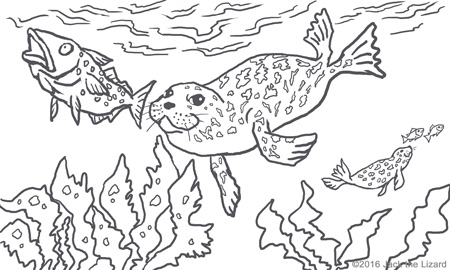 Coloring Pages of Spotted Seal