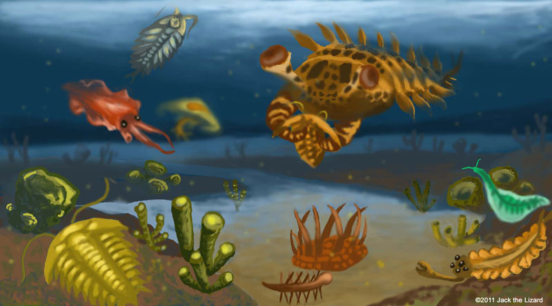 Cambrian Animals