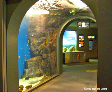 Tunnel Aquarium, Port of Nagoya Public Aquarium